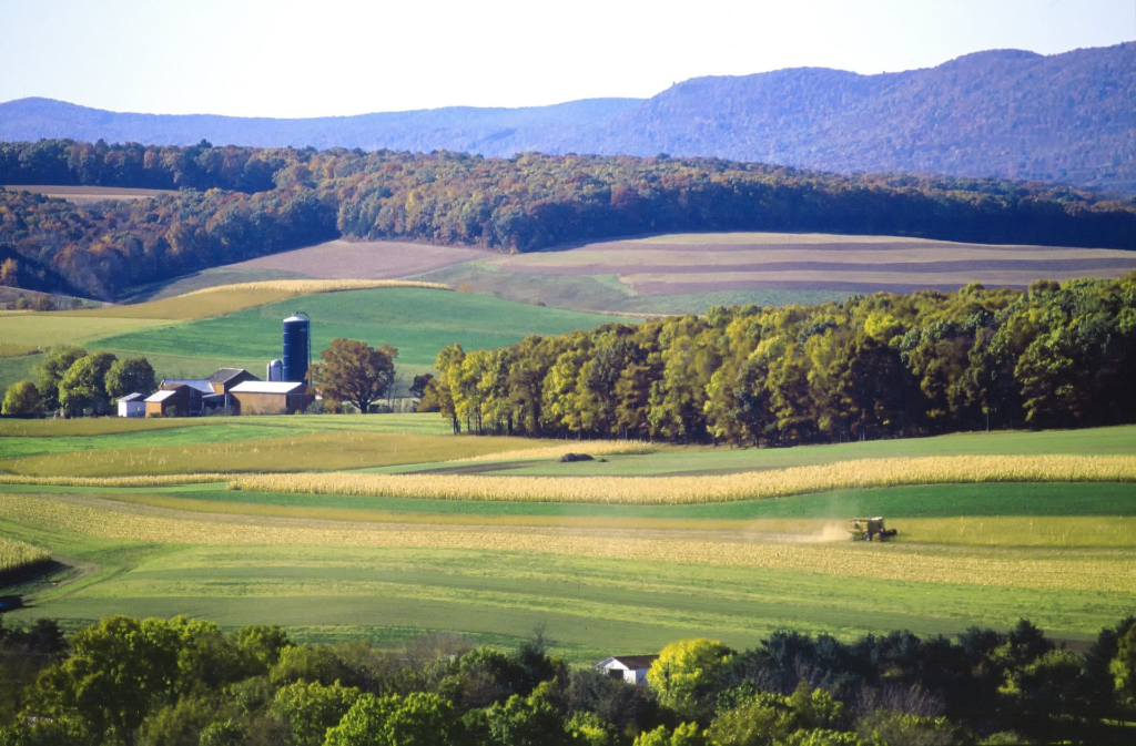 Ulster Scot Roots in Lancaster County - Grandma's Pictures